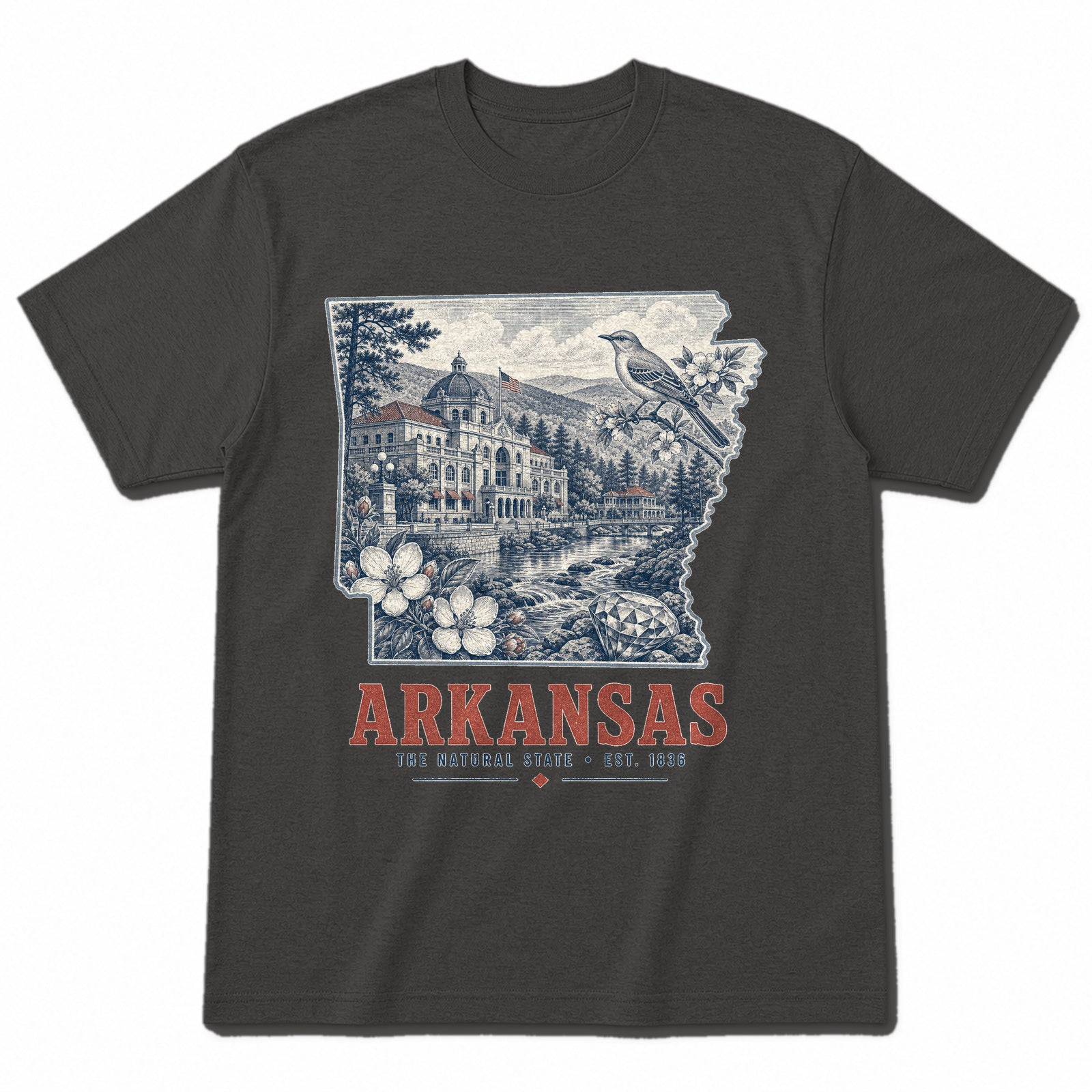 Vintage Arkansas State Graphic T-Shirt in Vintage Charcoal, front view on a white background