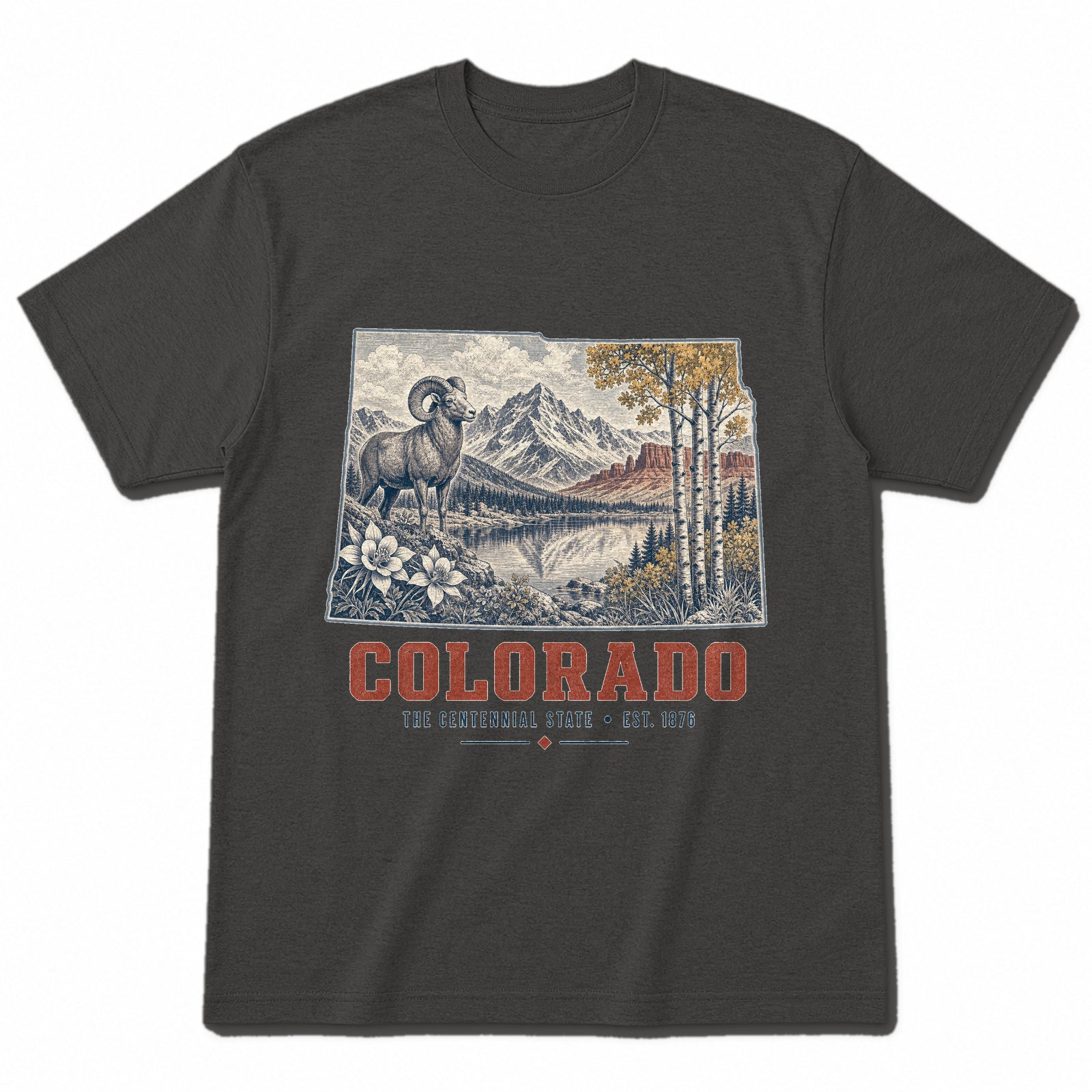 Vintage Colorado State Graphic T-Shirt in Vintage Charcoal, front view on a white background