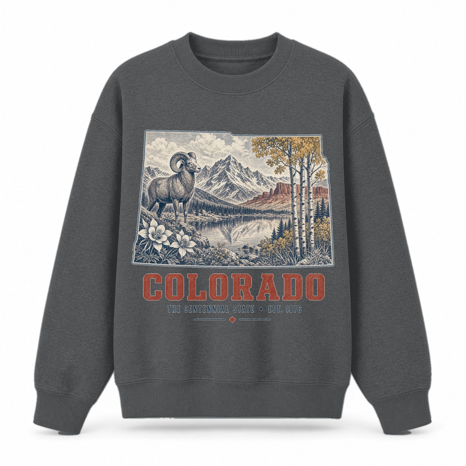 Vintage Colorado State Graphic Crewneck Sweatshirt in Dark Gray, front view on a white background