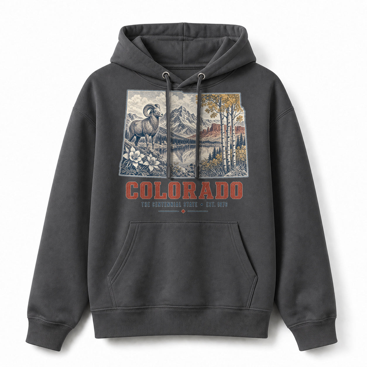 Vintage Colorado State Graphic Pullover Hoodie in Dark Gray, front view on a white background