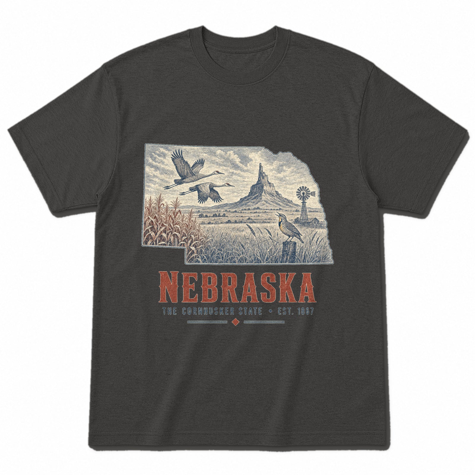 Vintage Nebraska State Graphic T-Shirt in Vintage Charcoal, front view on a white background