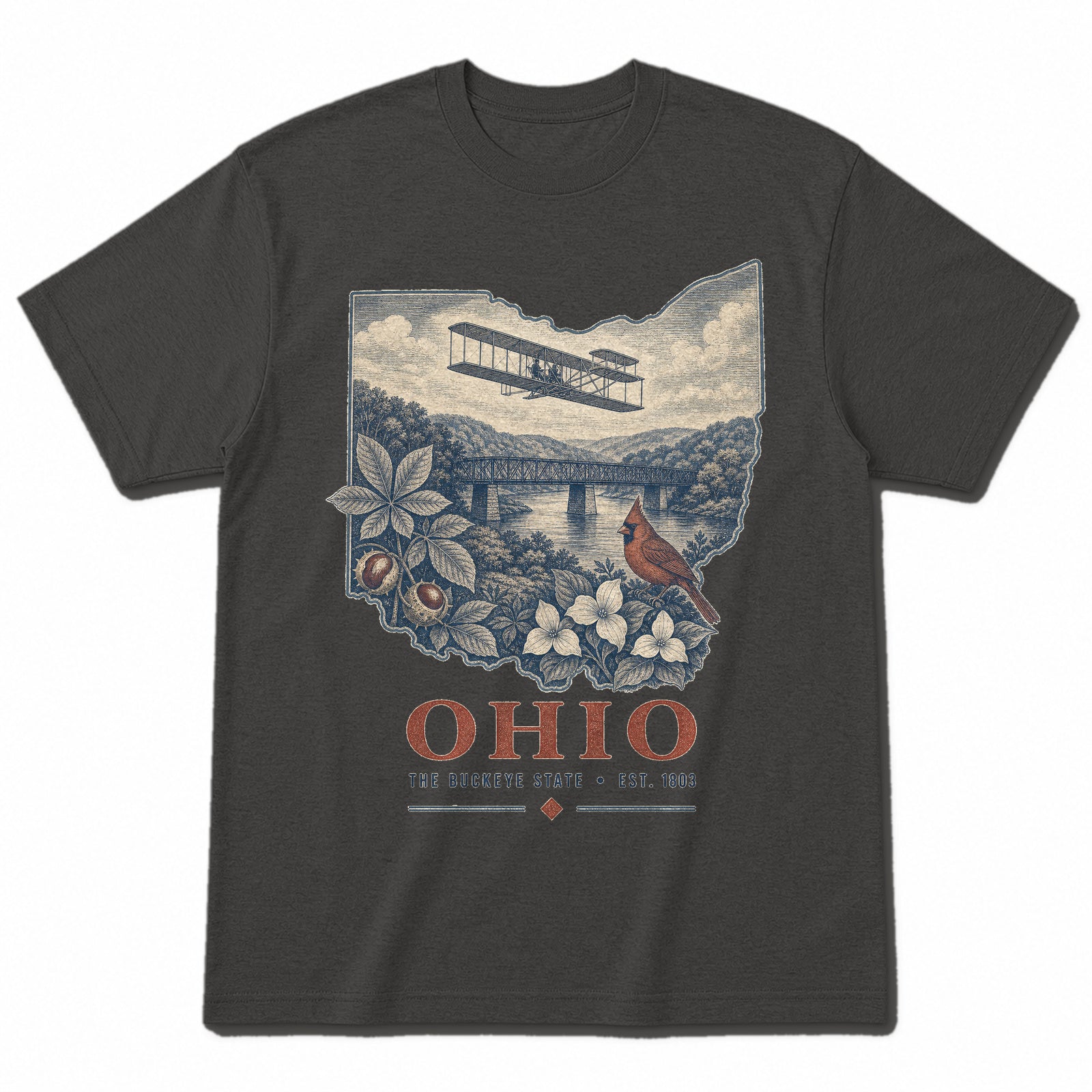 Vintage Ohio State Graphic T-Shirt in Vintage Charcoal, front view on a white background