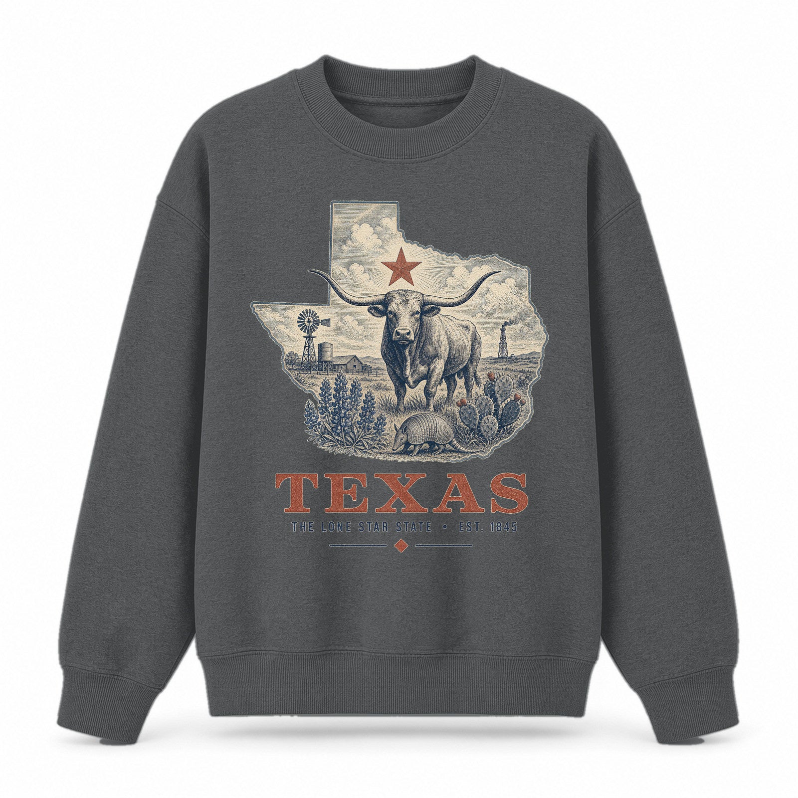 Vintage Texas State Graphic Crewneck Sweatshirt in Dark Gray, front view on a white background