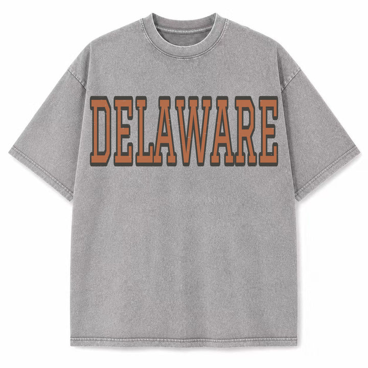 Delaware Collegiate Letter washed vintage heavyweight T-shirt in Light Gray