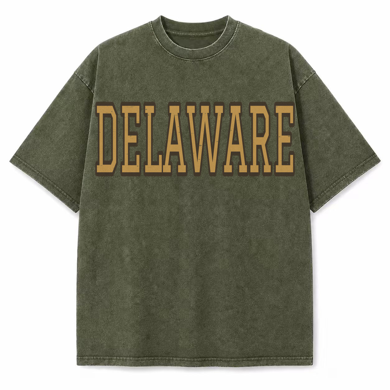 Delaware Collegiate Letter washed vintage heavyweight T-shirt in Military Green