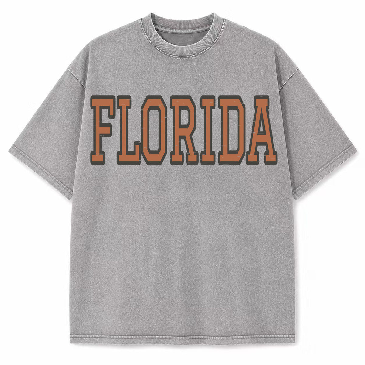 Florida Collegiate Letter washed vintage heavyweight T-shirt in Light Gray