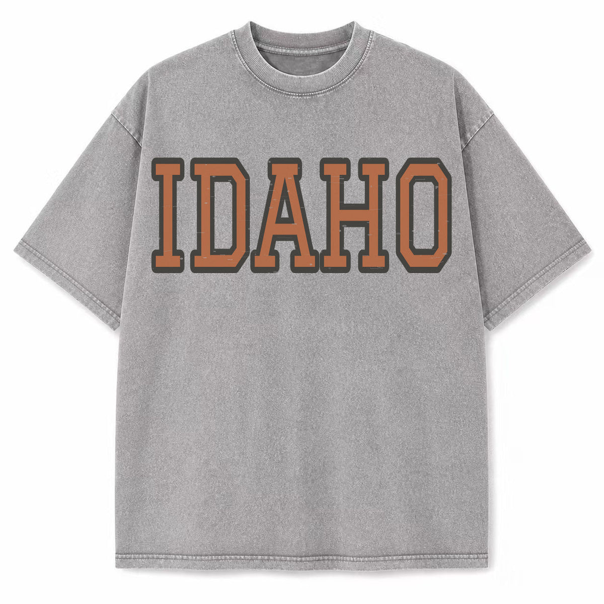 Idaho Collegiate Letter washed vintage heavyweight T-shirt in Light Gray