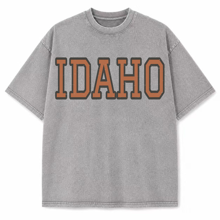Idaho Collegiate Letter washed vintage heavyweight T-shirt in Light Gray