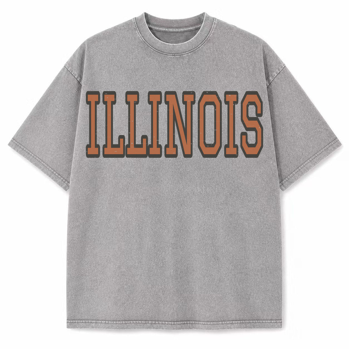 Illinois Collegiate Letter washed vintage heavyweight T-shirt in Light Gray