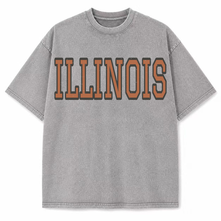 Illinois Collegiate Letter washed vintage heavyweight T-shirt in Light Gray