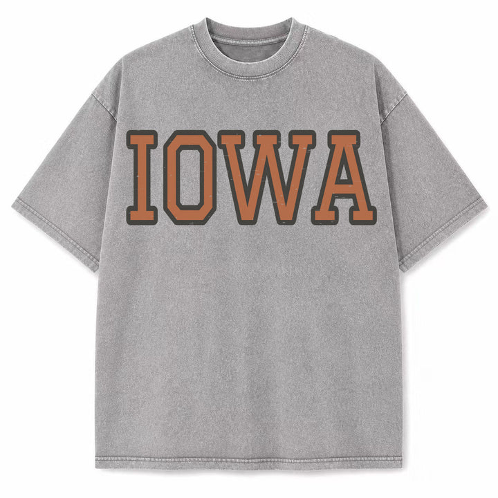 Iowa Collegiate Letter washed vintage heavyweight T-shirt in Light Gray