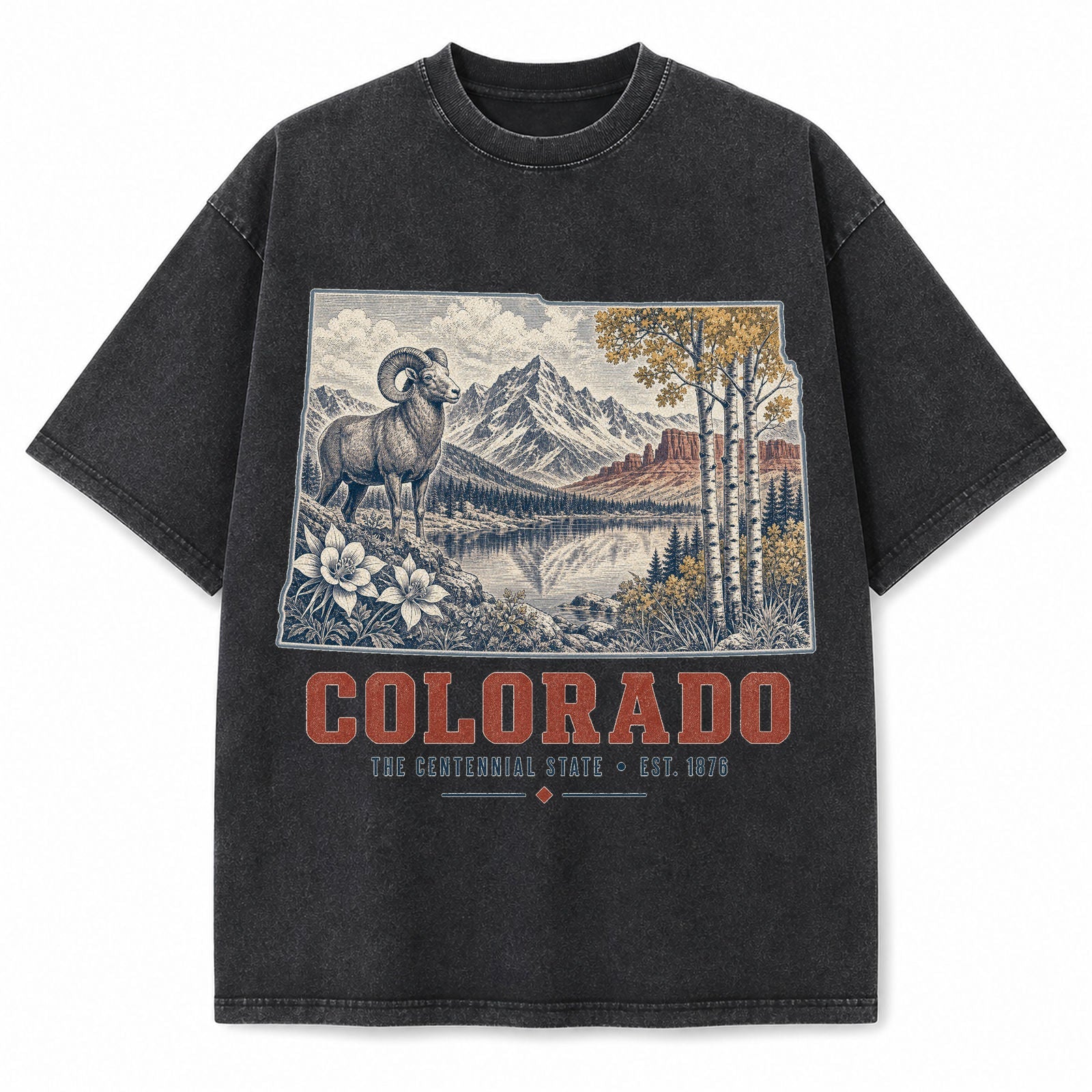 Vintage Washed Colorado Bighorn Mountain Graphic Tee in Black, front view on a white background