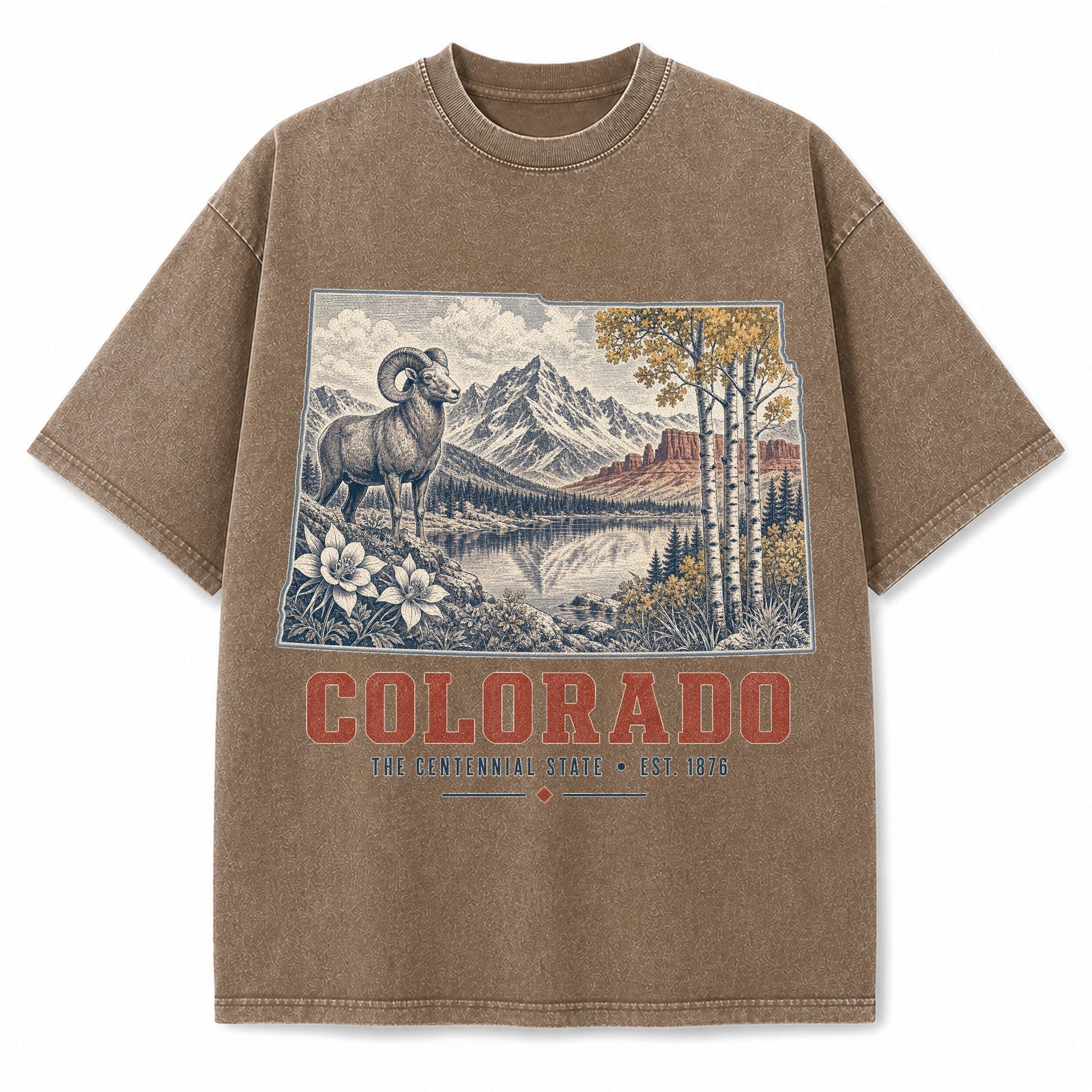 Vintage Washed Colorado Bighorn Mountain Graphic Tee in Brown, front view on a white background