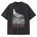 Vintage Washed Idaho Mountain Graphic Tee in Black, front view on a white background