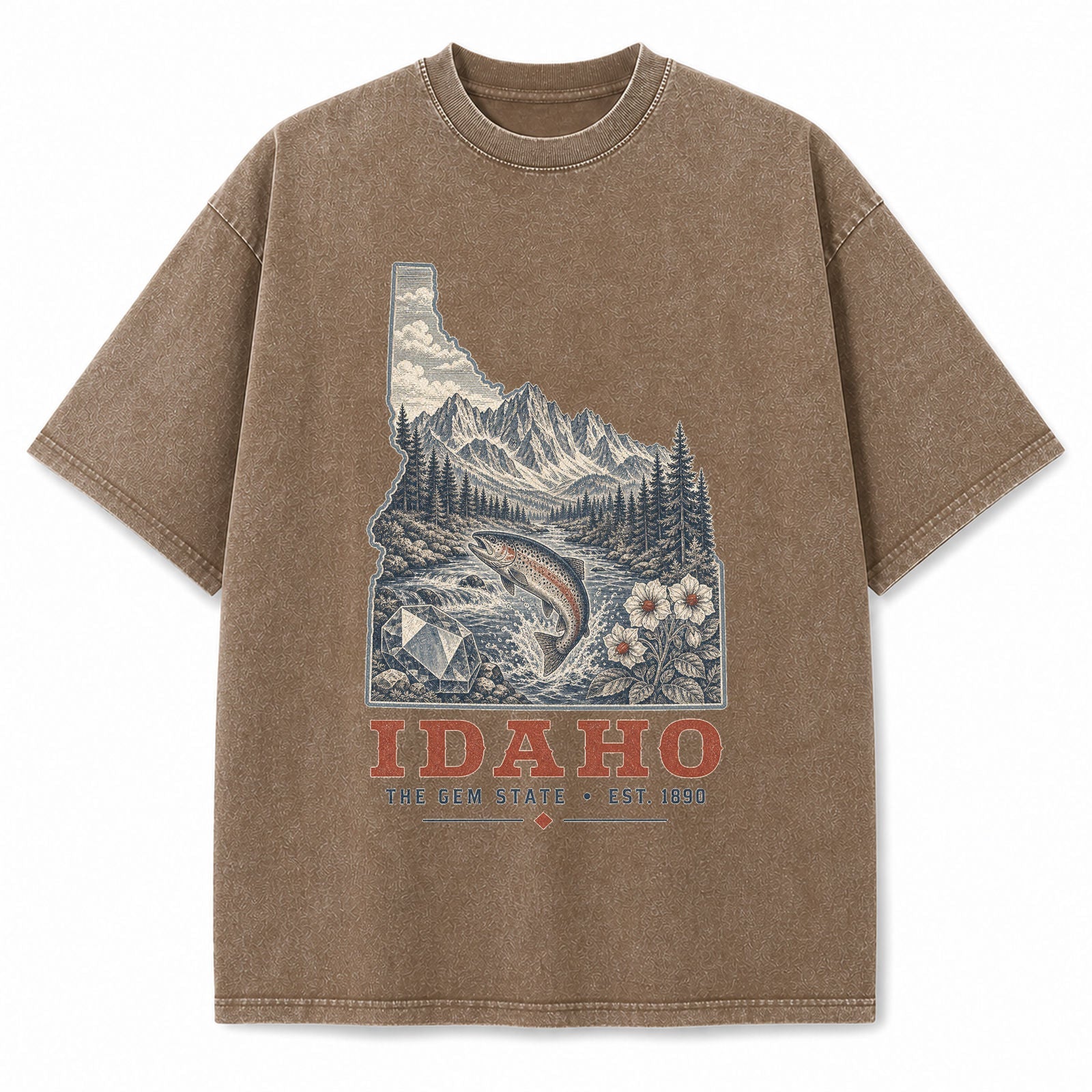 Vintage Washed Idaho Mountain Graphic Tee in Brown, front view on a white background