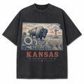 Vintage Washed Kansas Bison Graphic Tee in Black, front view on a white background
