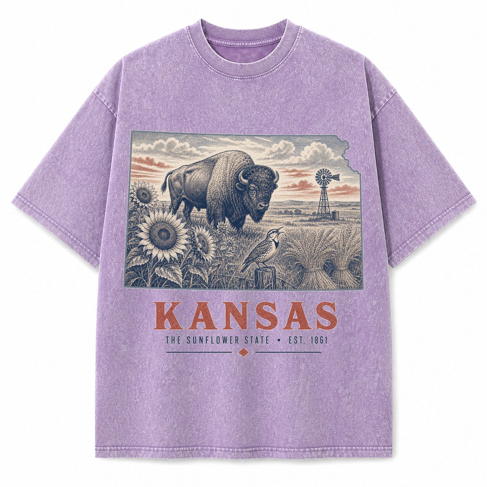Vintage Washed Kansas Bison Graphic Tee in Purple, front view on a white background