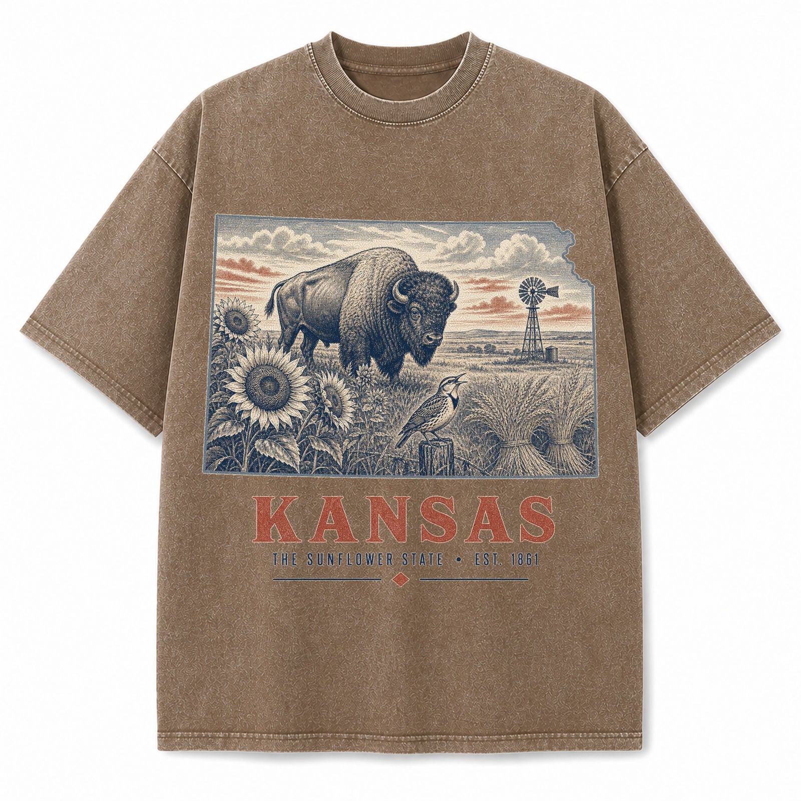 Vintage Washed Kansas Bison Graphic Tee in Brown, front view on a white background