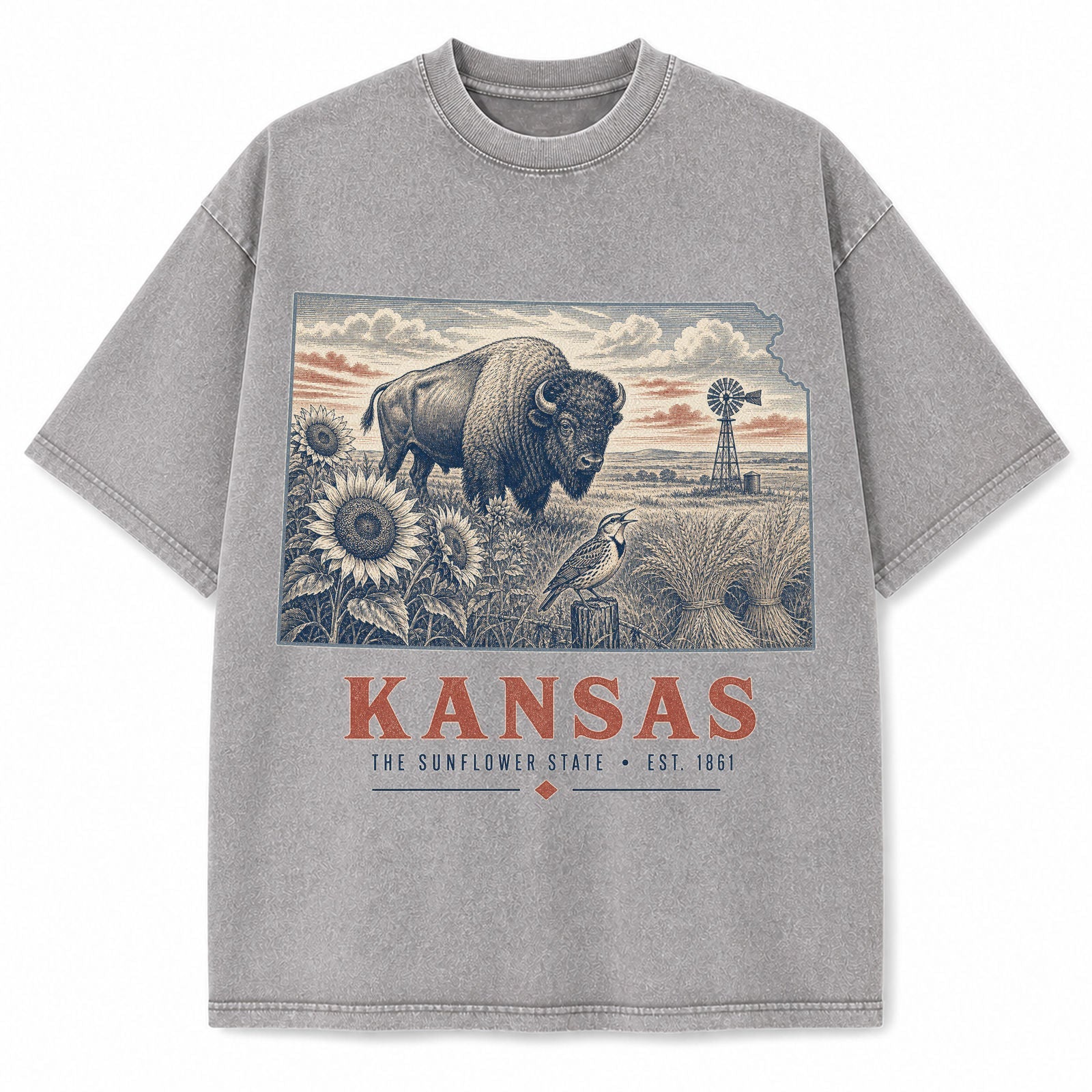 Vintage Washed Kansas Bison Graphic Tee in Light Gray, front view on a white background