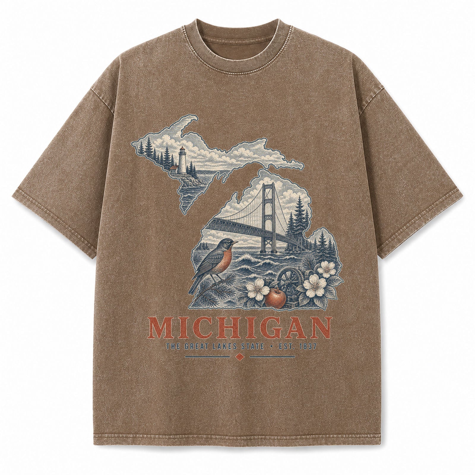 Vintage Washed Michigan Great Lakes Graphic Tee in Brown, front view on a white background
