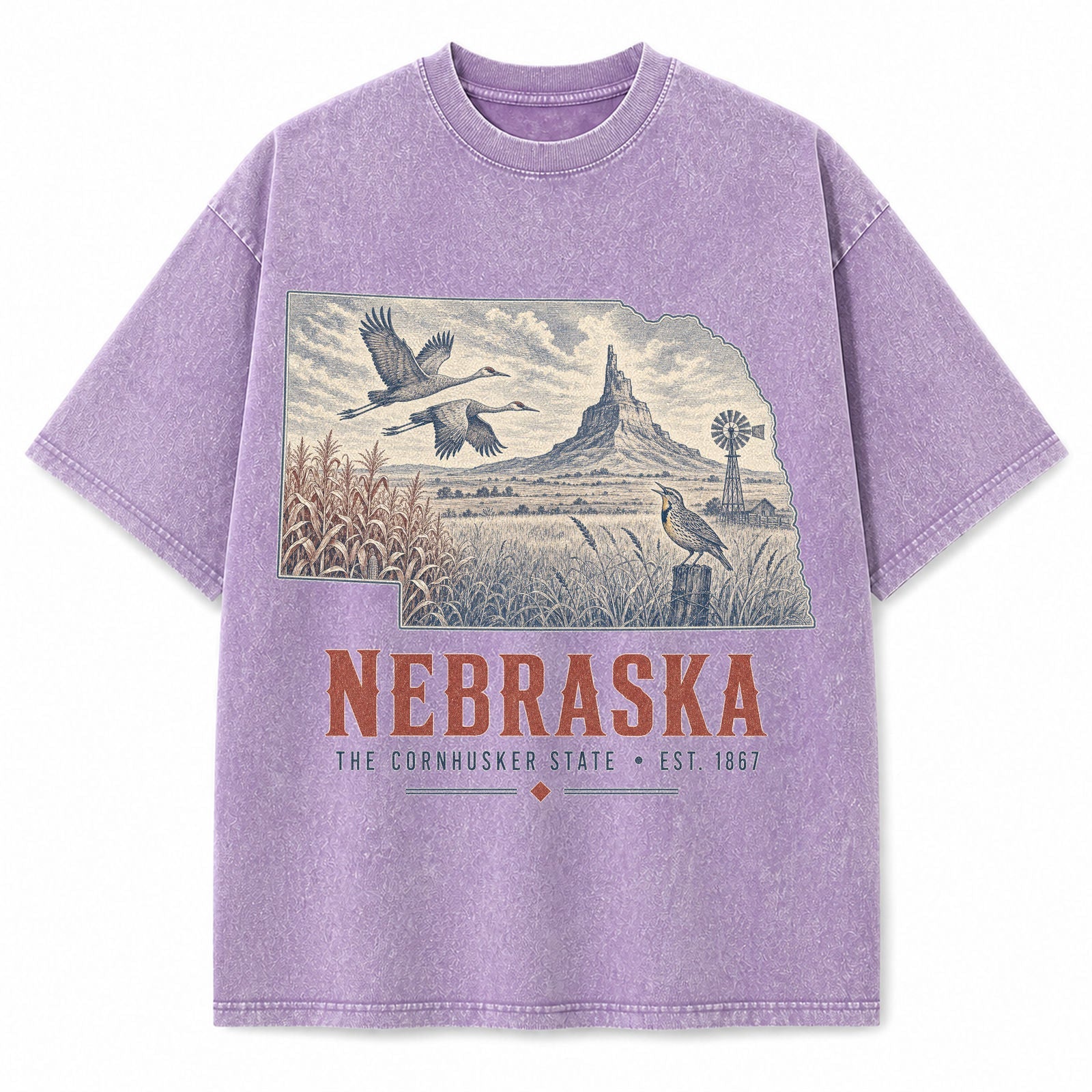 Vintage Washed Nebraska Sandhill Crane Graphic Tee in Purple, front view on a white background
