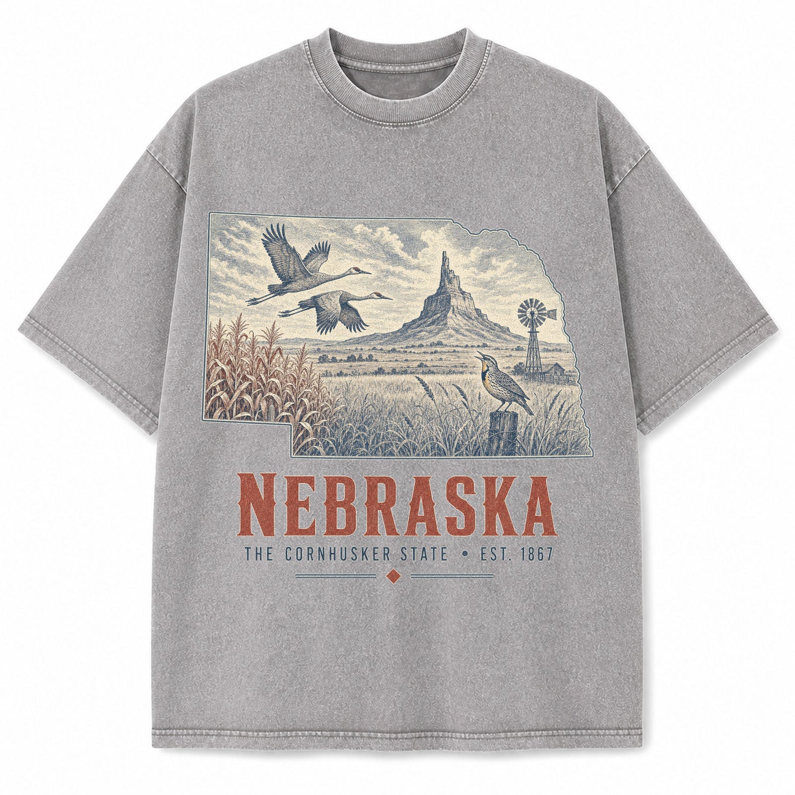 Vintage Washed Nebraska Sandhill Crane Graphic Tee in Light Gray, front view on a white background