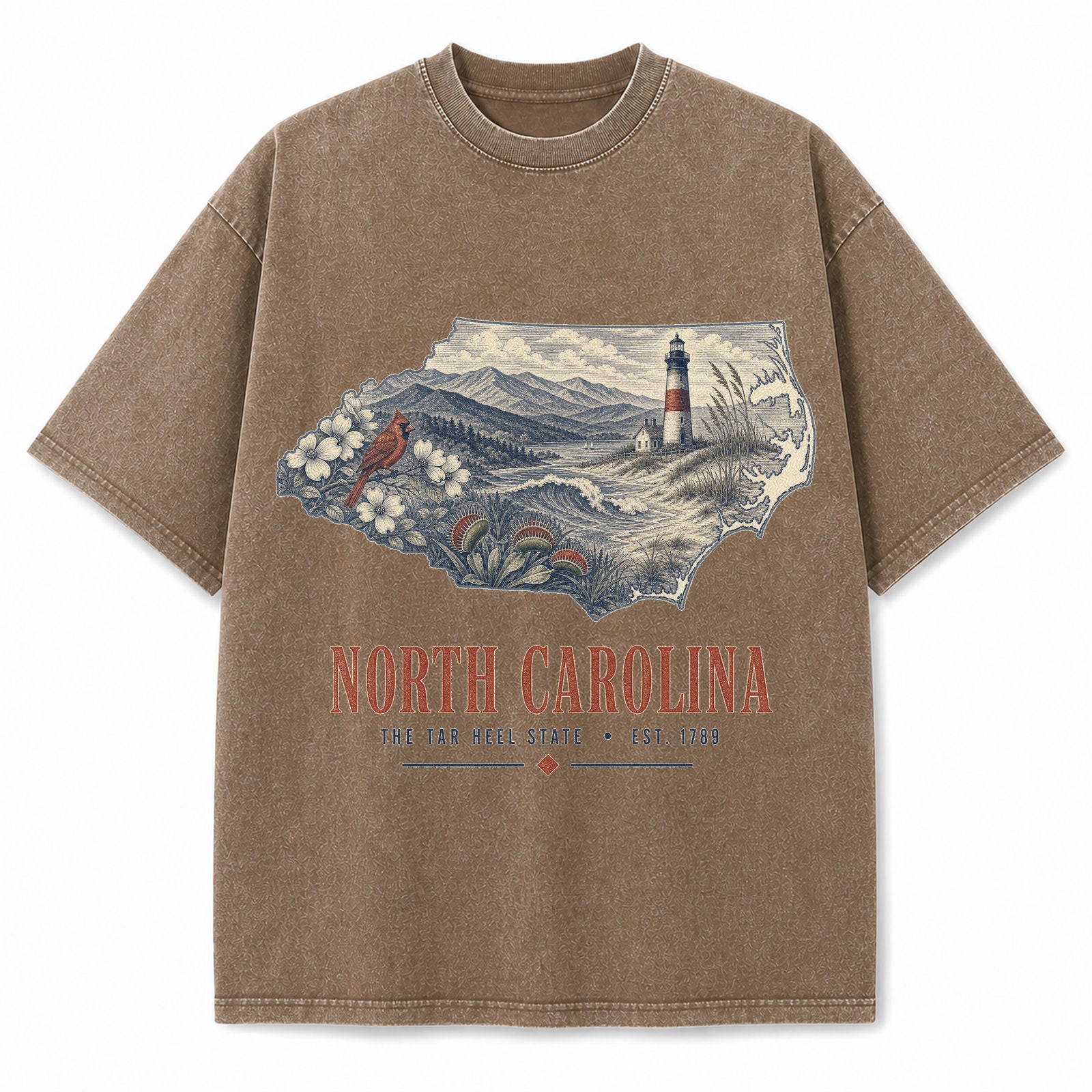 Vintage Washed North Carolina Coastal Graphic Tee in Brown, front view on a white background