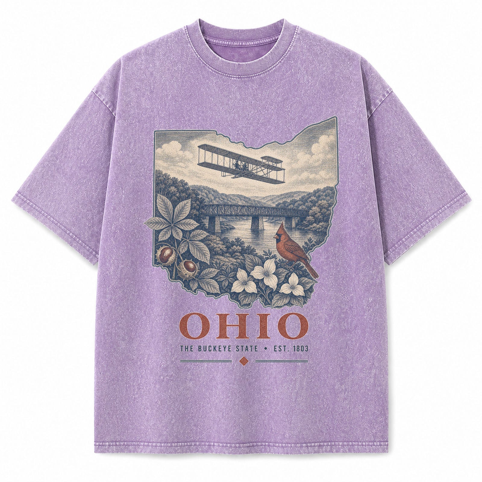Vintage Washed Ohio Aviation Graphic Tee in Purple, front view on a white background