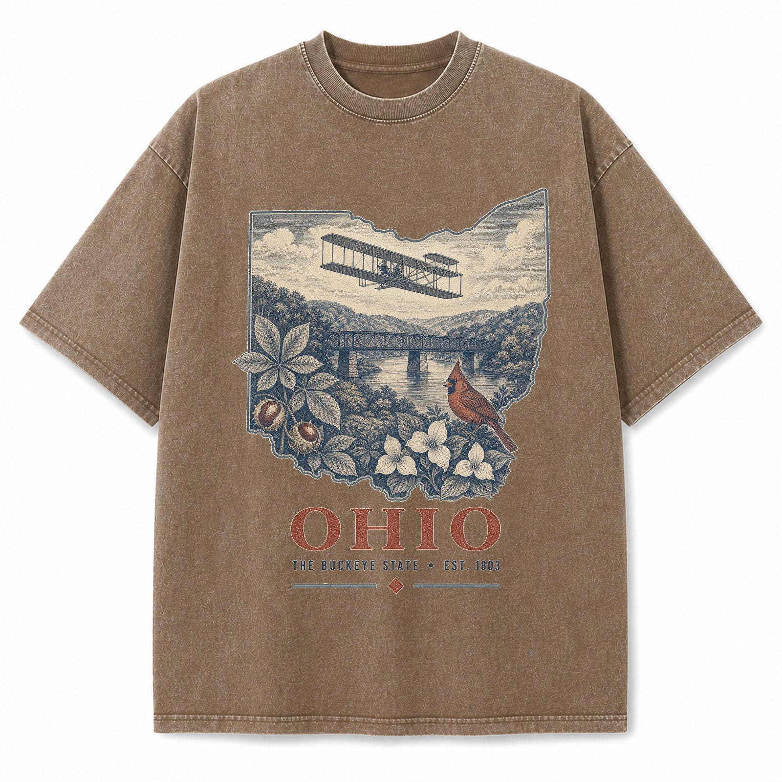 Vintage Washed Ohio Aviation Graphic Tee in Brown, front view on a white background