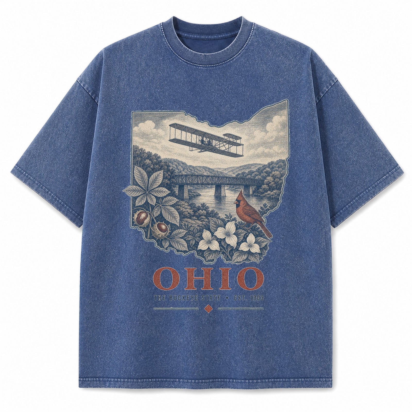 Vintage Washed Ohio Aviation Graphic Tee in Blue, front view on a white background