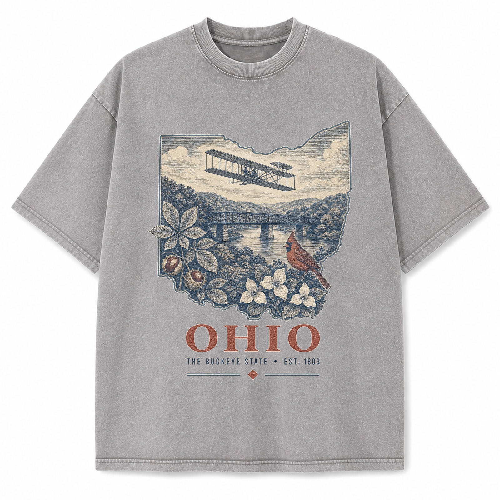Vintage Washed Ohio Aviation Graphic Tee in Light Gray, front view on a white background