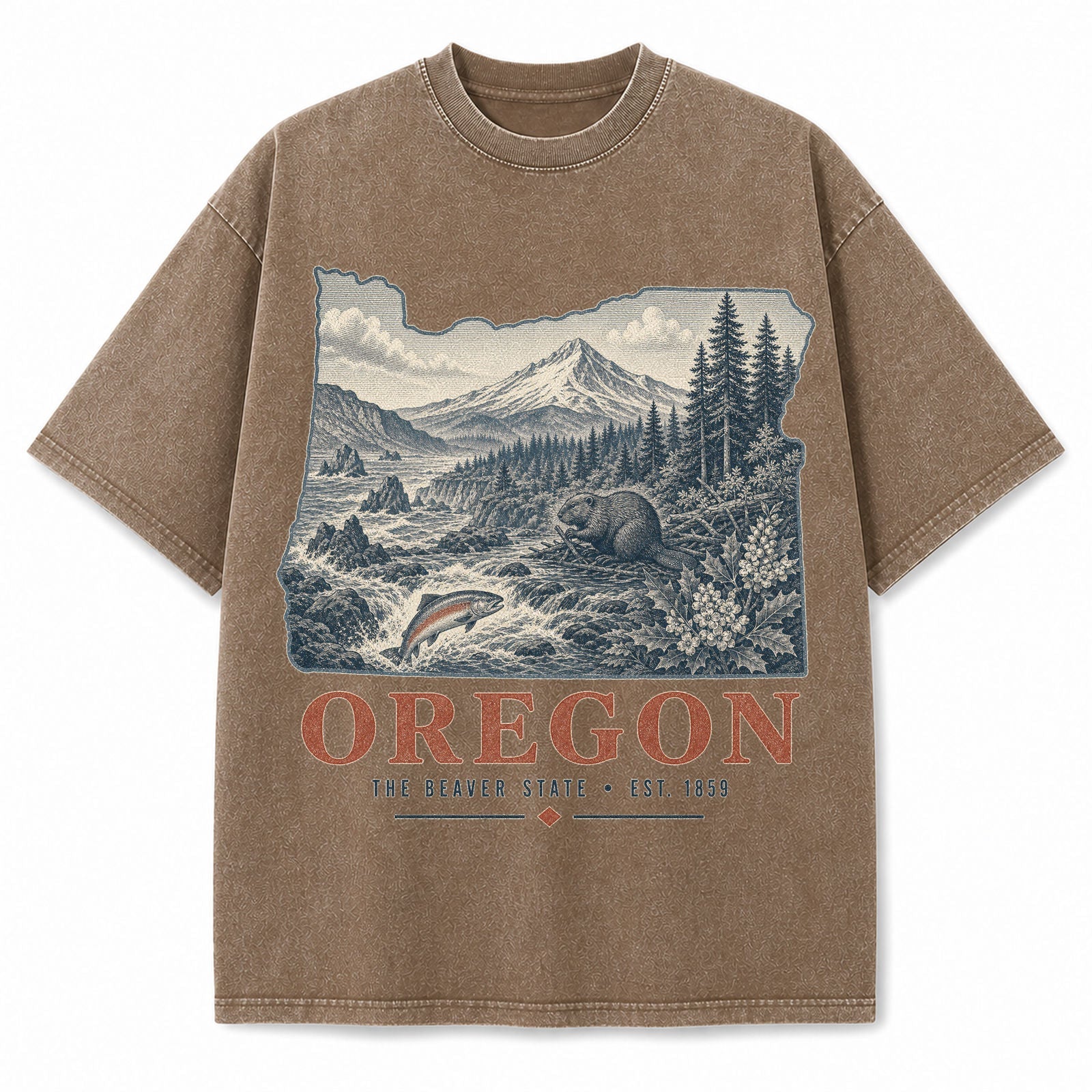 Vintage Washed Oregon Mountain Graphic Tee in Brown, front view on a white background