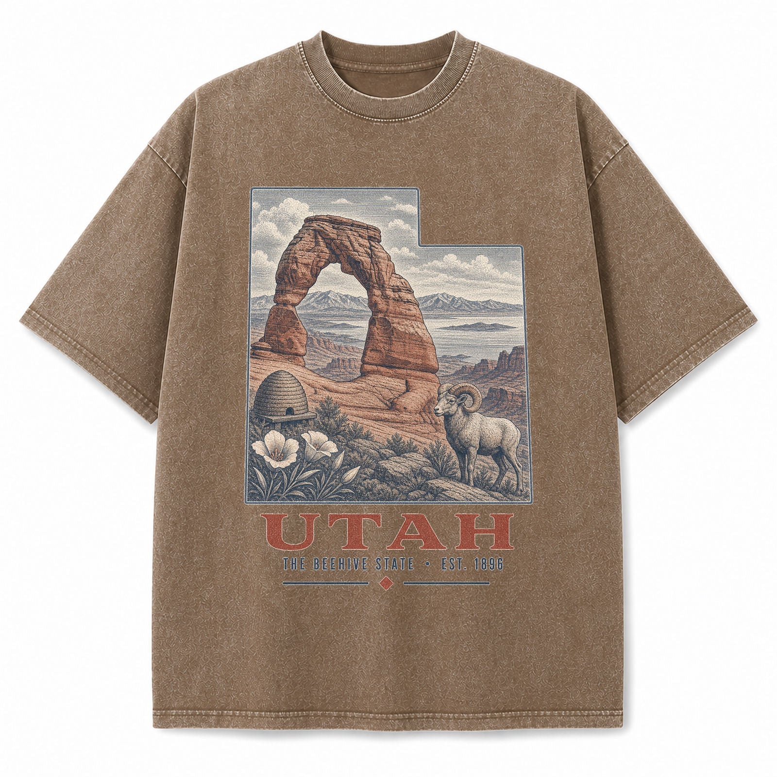 Vintage Washed Utah Delicate Arch Graphic Tee in Brown, front view on a white background