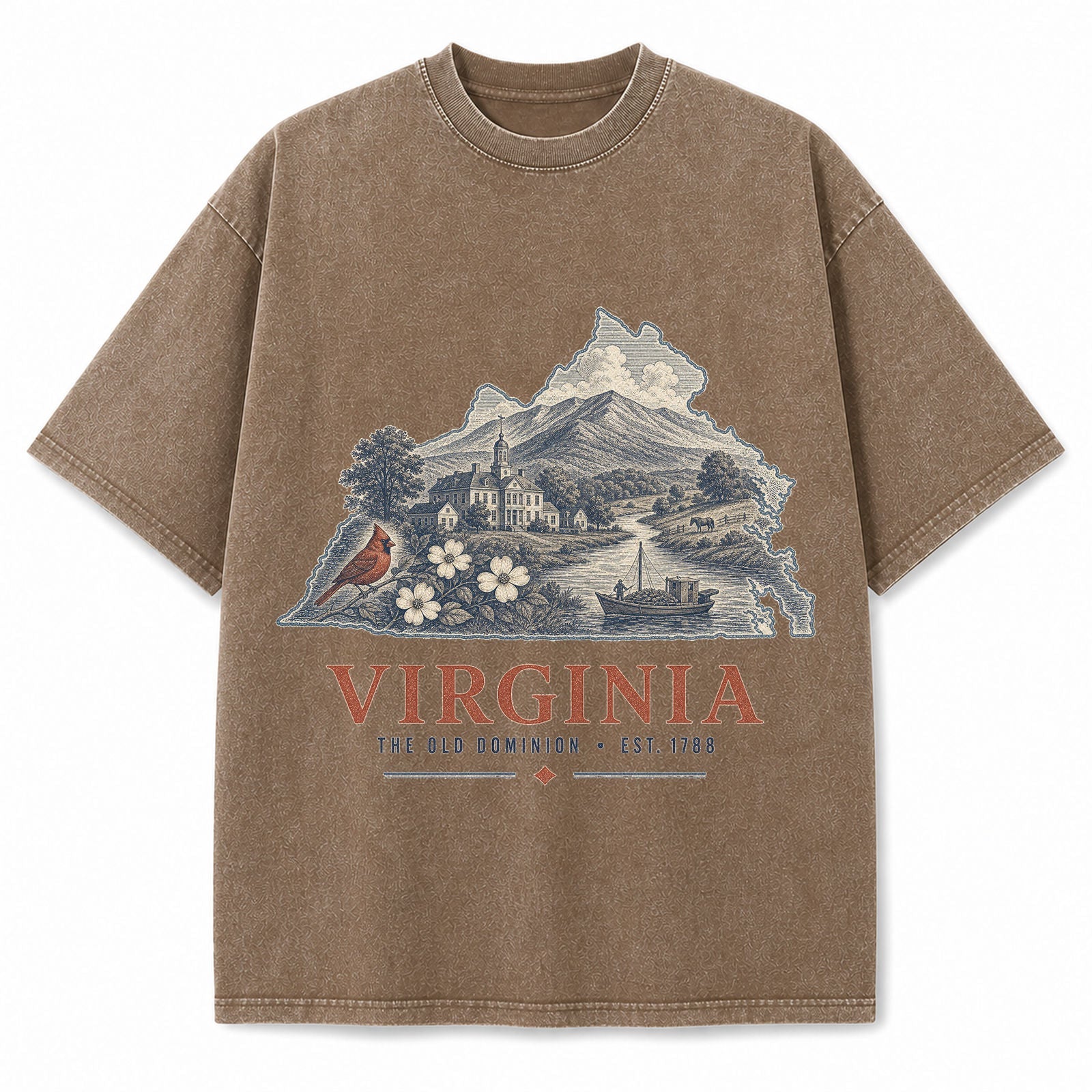 Vintage Washed Virginia Blue Ridge Graphic Tee in Brown, front view on a white background