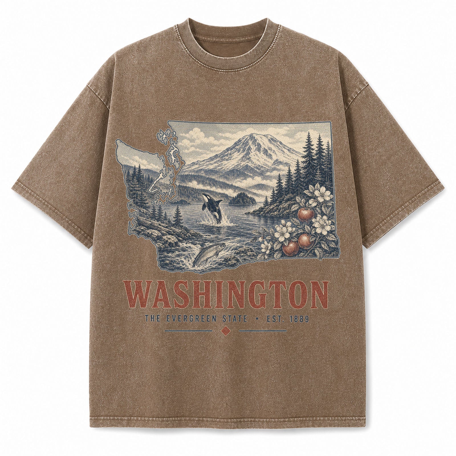 Vintage Washed Washington Mountain Graphic Tee in Brown, front view on a white background