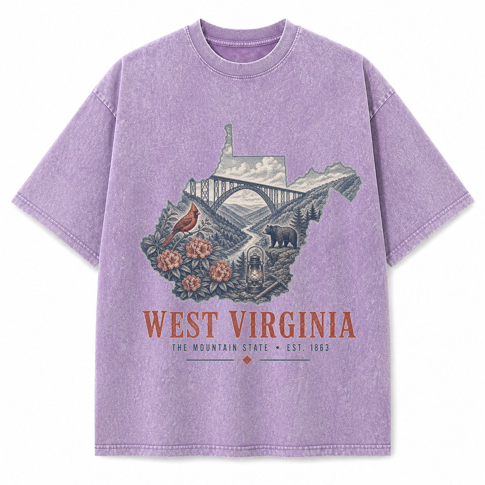 Vintage Washed West Virginia New River Gorge Graphic Tee in Purple, front view on a white background