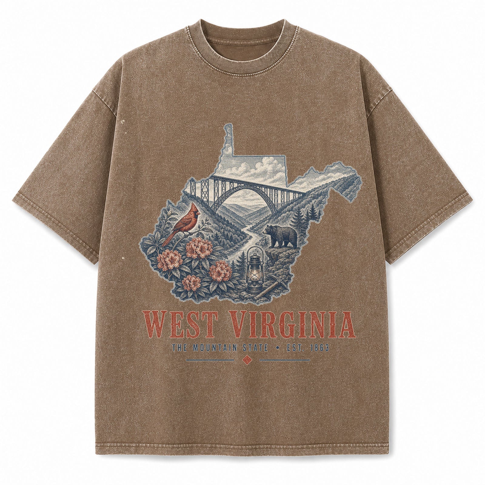 Vintage Washed West Virginia New River Gorge Graphic Tee in Brown, front view on a white background