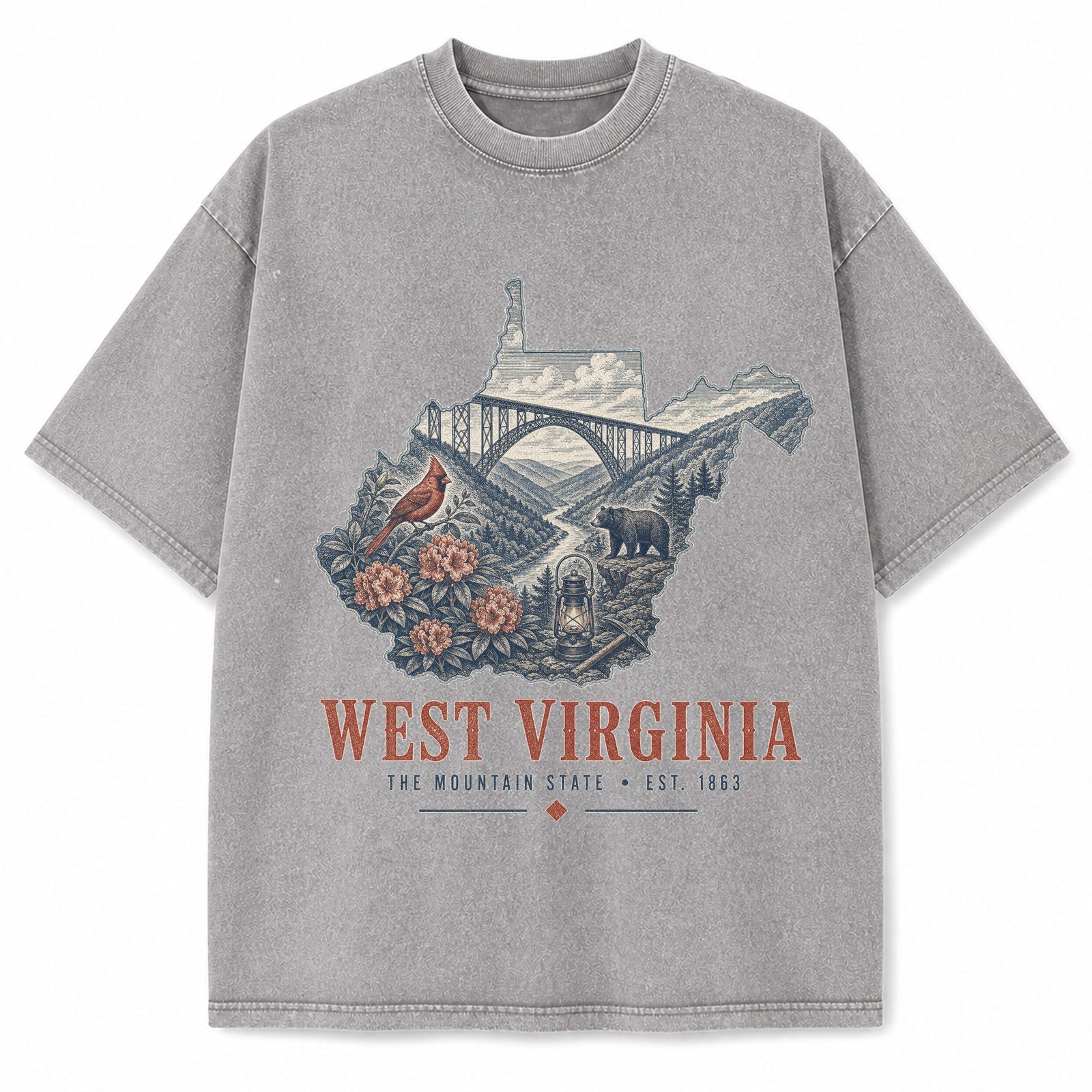 Vintage Washed West Virginia New River Gorge Graphic Tee in Light Gray, front view on a white background