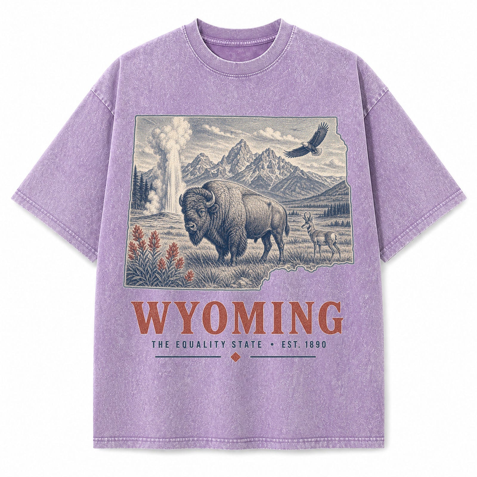 Vintage Washed Wyoming Bison Graphic Tee in Purple, front view on a white background