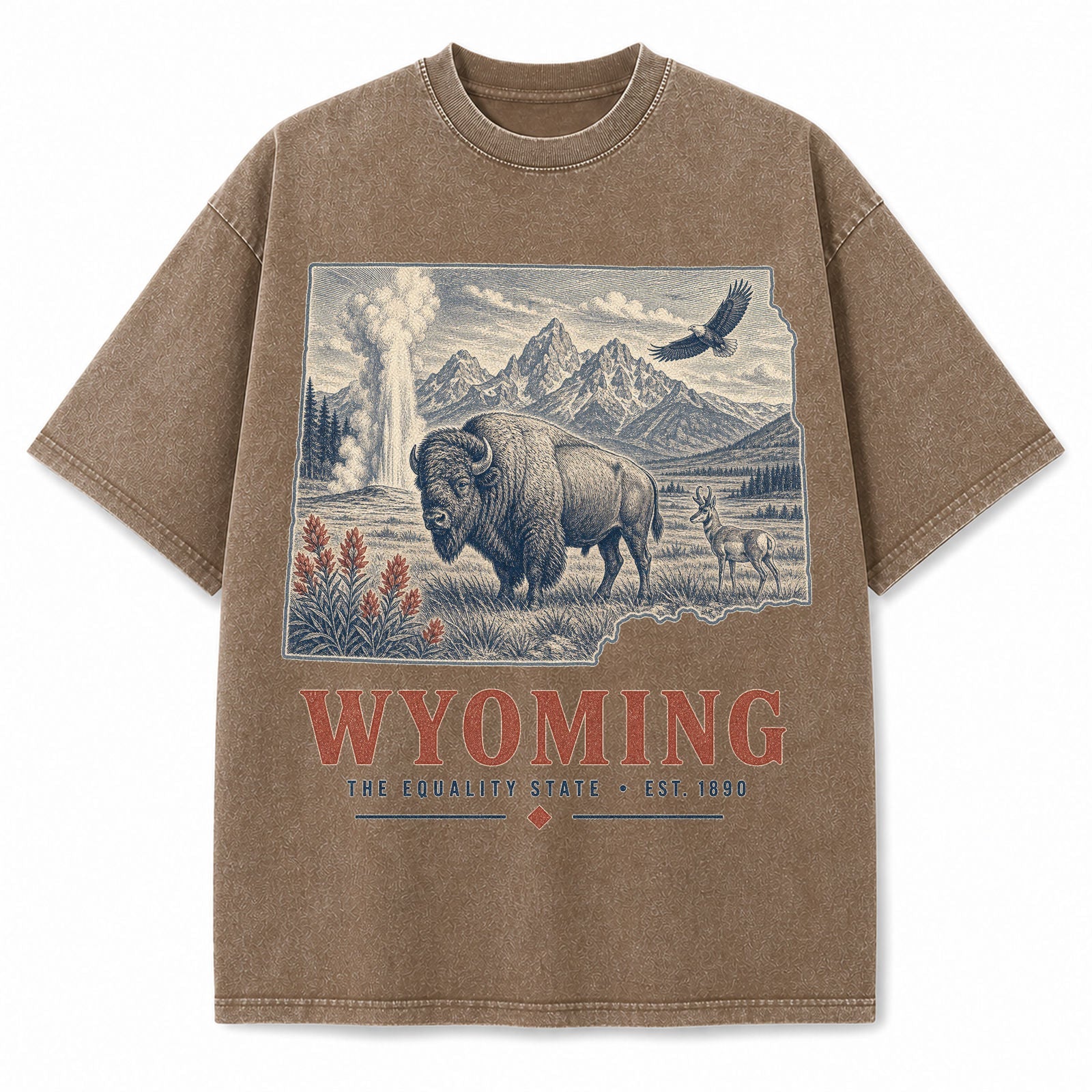 Vintage Washed Wyoming Bison Graphic Tee in Brown, front view on a white background