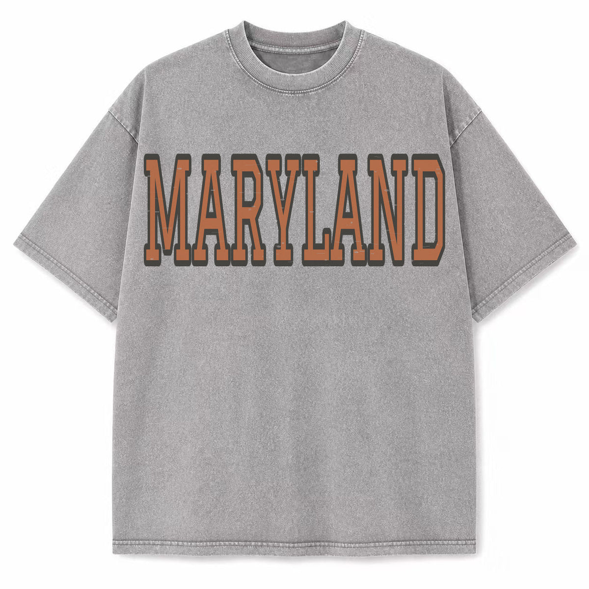 Maryland Collegiate Letter washed vintage heavyweight T-shirt in Light Gray