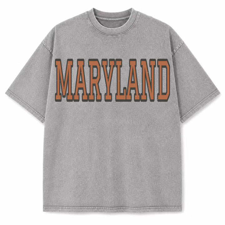 Maryland Collegiate Letter washed vintage heavyweight T-shirt in Light Gray