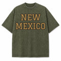 New Mexico Collegiate Letter washed vintage heavyweight T-shirt in Military Green