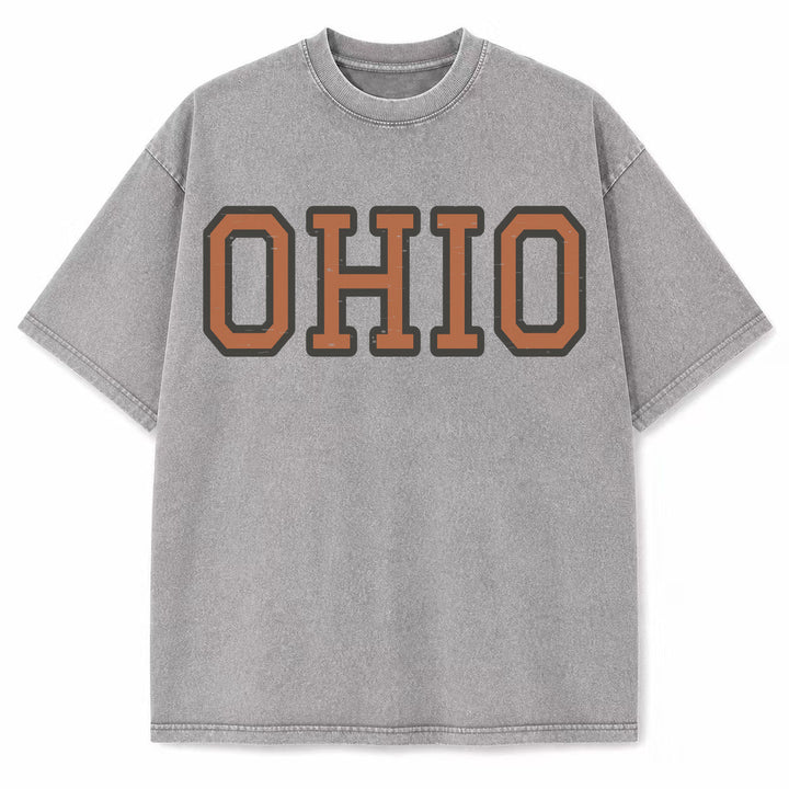 Ohio Collegiate Letter washed vintage heavyweight T-shirt in Light Gray