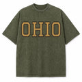Ohio Collegiate Letter washed vintage heavyweight T-shirt in Military Green