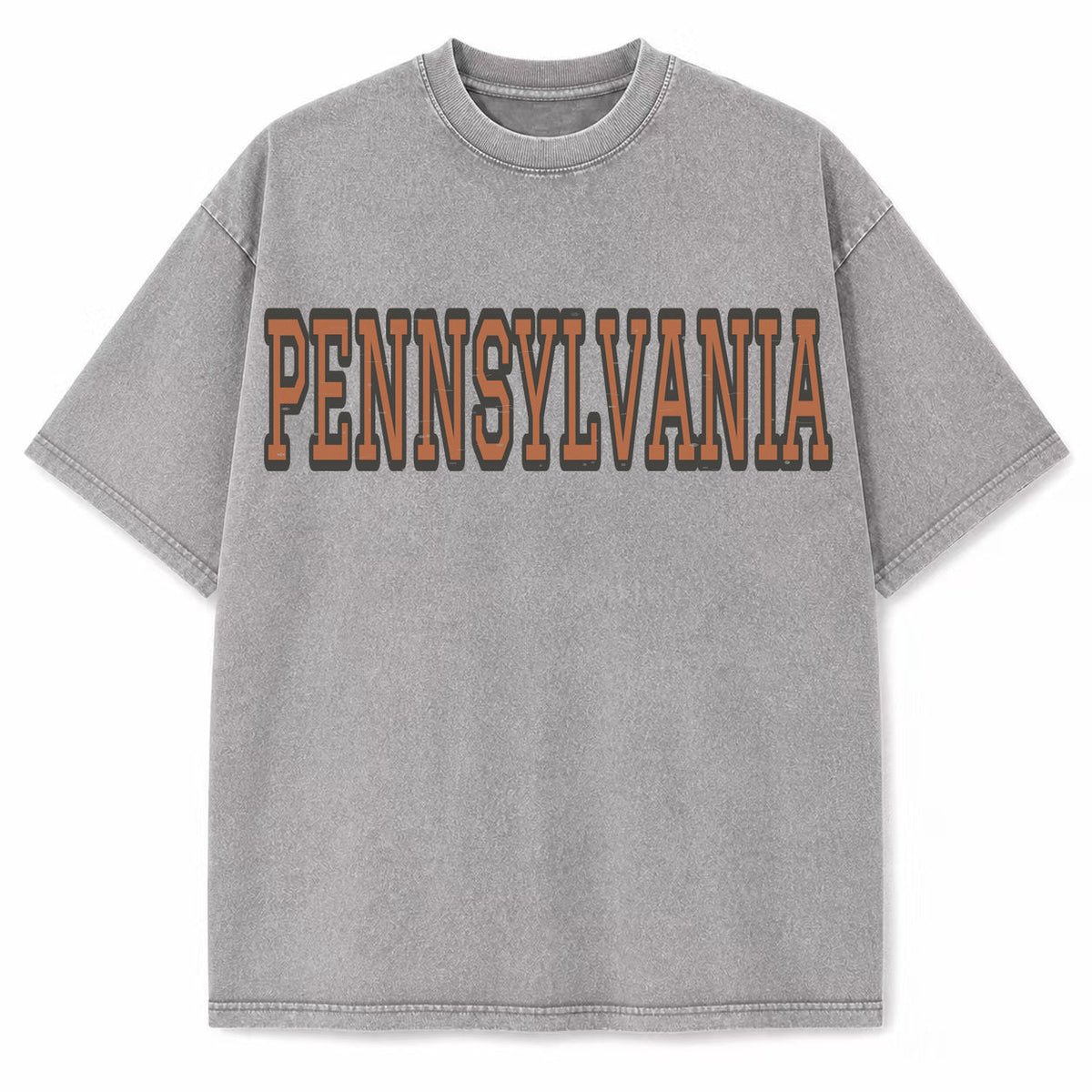 Pennsylvania Collegiate Letter washed vintage heavyweight T-shirt in Light Gray