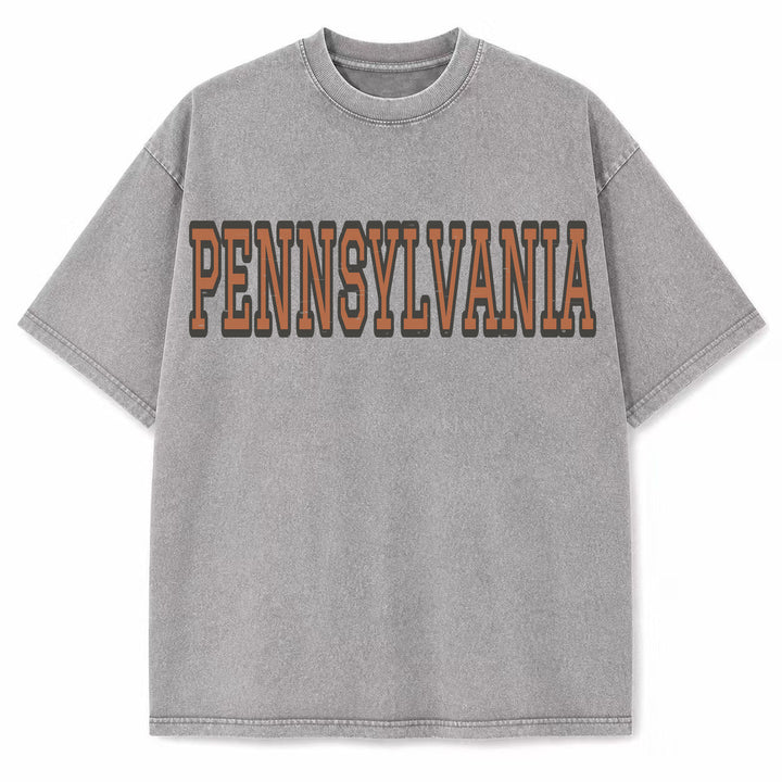 Pennsylvania Collegiate Letter washed vintage heavyweight T-shirt in Light Gray
