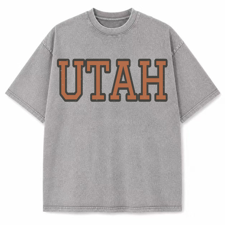 Utah Collegiate Letter washed vintage heavyweight T-shirt in Light Gray