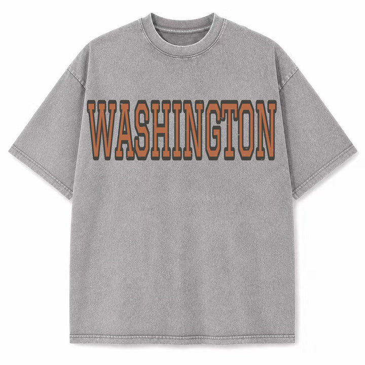 Washington Collegiate Letter washed vintage heavyweight T-shirt in Light Gray