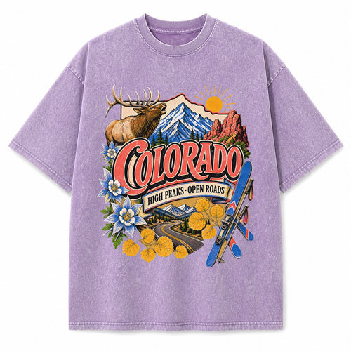 Colorful Colorado State Collage Washed Vintage T-Shirt in Purple, front view on a white background